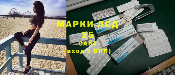 ГАЛЛЮЦИНОГЕННЫЕ ГРИБЫ Алексин