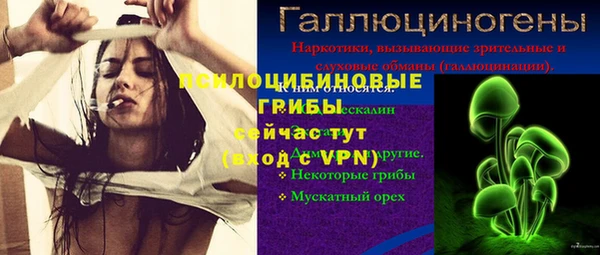 ГАЛЛЮЦИНОГЕННЫЕ ГРИБЫ Алексин