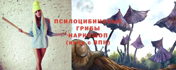 ГАЛЛЮЦИНОГЕННЫЕ ГРИБЫ Алексин