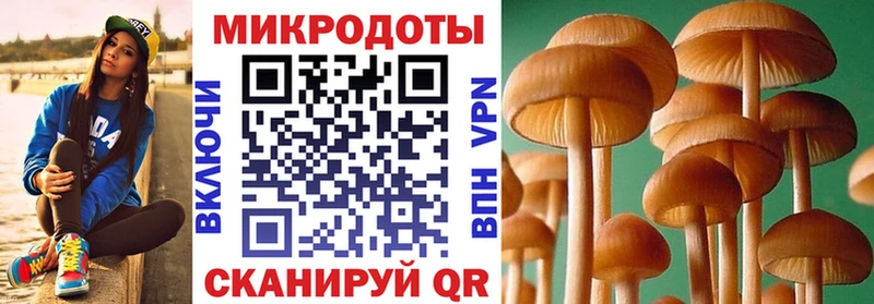 наркошоп Шимановск Галлюциногенные грибы Psilocybine cubensis